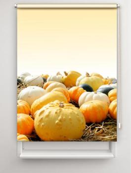 Rollo Kürbiszeit gelb, Rollo, Motivrollo, Rollo mit Druck, Fotorollo, bedrucktes Rollo, Fensterrollo,verdunkelndes Rollo, Sonnenschutz Rollo
